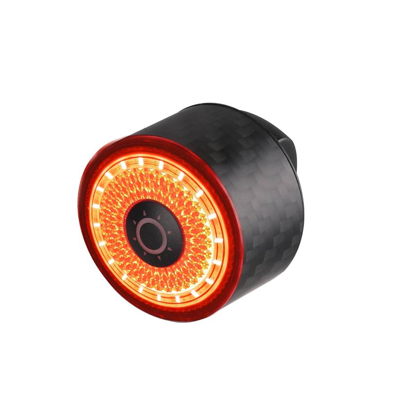 LOOP-100 (Carbon fiber housing)